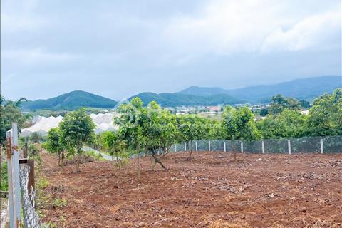 Cần bán nhanh đất vườn tại Chi Lăng - Nam Ban- Lâm Hà giá tốt