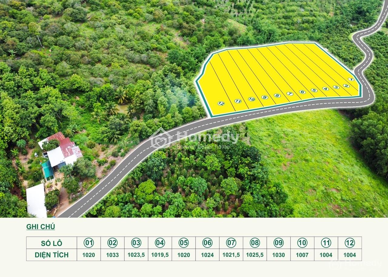 Cần bán 1000m2 đất Định Quán ngay QL 20, view hồ Trị An Đồng Nai giá chỉ 1,1 triệu / m2 có sổ riêng - Ảnh 4