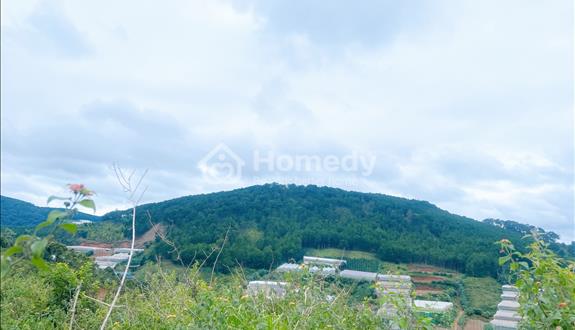 Cần bán lô đất giá tốt view thung lũng tại Măng Lin - phường 7- Đà Lạt - Ảnh 1