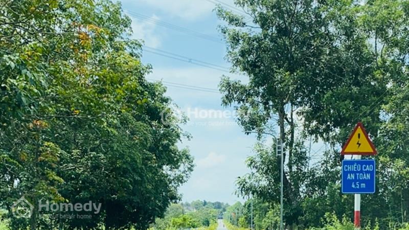 Bán 1,2 mẫu đất Suối Cao, Huyện Xuân Lộc, Đồng Nai - Ảnh 3