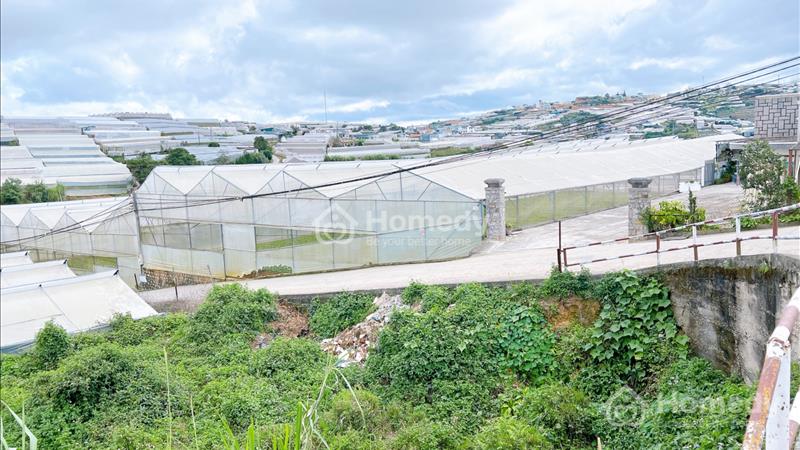 Bán nhanh lô đất 2 mặt tiền view đẹp tại Nam Hồ - phường 11 - Đà Lạt - Ảnh 1