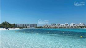 Chính chủ gửi bán biệt thự song lập Ngọc Trai đảo lớn  Vinhomes Ocean Park-39.x tỷ - Ảnh 5