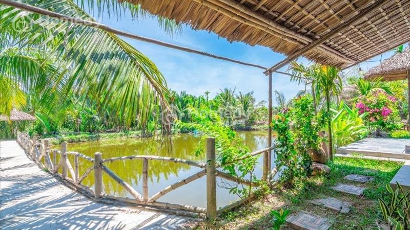 Bán nhà vườn Cẩm Thanh, 1300m thổ cư full- giá chỉ 16ty3 - Ảnh 1