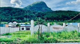 Bán lô đất 2300m2 xã Hiệp An, lưng tựa núi Voi rất đẹp - Ảnh 8