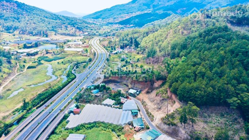 Bán 2.3ha ( 400m2 XD ) ngay chân đèo Prenn - Đà Lạt - Ảnh 6