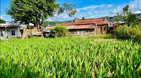 Bán lô đất 2300m2 xã Hiệp An, lưng tựa núi Voi rất đẹp - Ảnh 4