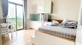 Căn hộ dịch vụ studio, duplex, 1 phòng ngủ gần Lotte sát quận 4 - Ảnh 9