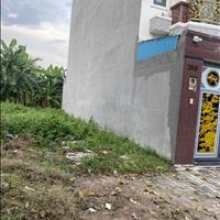 Đất rẻ đẹp Tân Kiên - Bình Chánh mua nhanh bán nhanh lô đất đường Huỳnh Bá Chánh, SHR, thổ cư