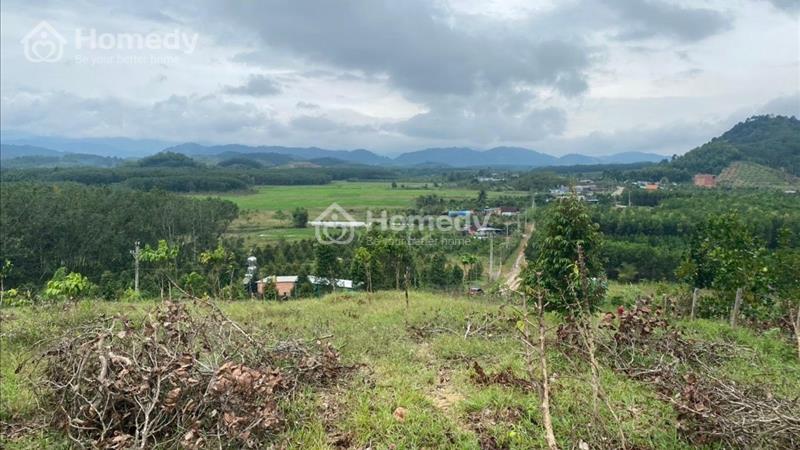 Bán 4sào đất Phú An - Huyện Tân Phú giá rẻ nhất, đường xe hơi  - Ảnh 6