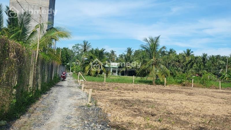 Bán đất ONT - Tiền Giang - (100m ONT, 73m CLN) - Ảnh 1