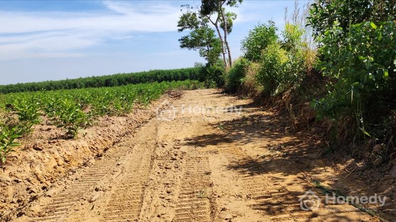 Bán đất Huyện Xuân Lộc - Đồng Nai giá 250 Triệu Liên hệ Cường 0328472872 - Ảnh 9