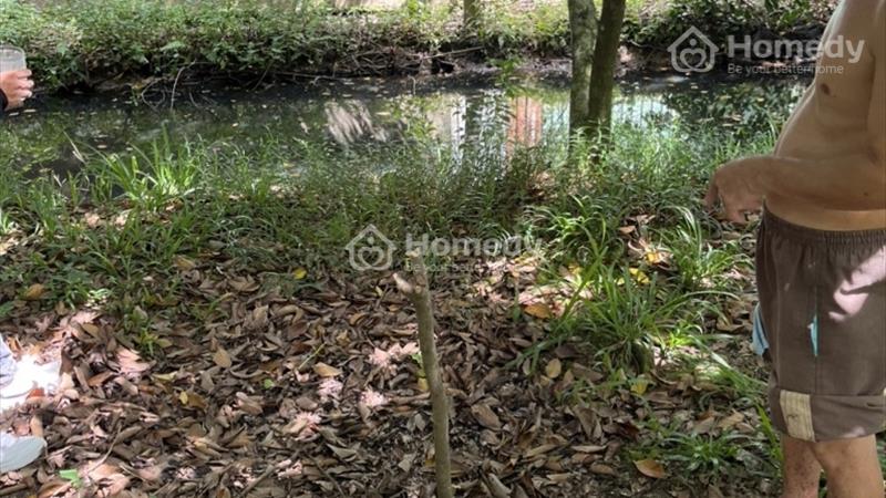 Chính chủ cần bán đất vườn 600m2 chỉ 1,5 tỷ tại xã Trường Long - Huyện Phong Điền - TP Cần Thơ - Ảnh 1