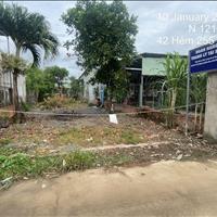 Ngân hàng phát mãi thửa đất 273m2 hẻm 255 phạm văn diêu, tân hạnh, biên hòa