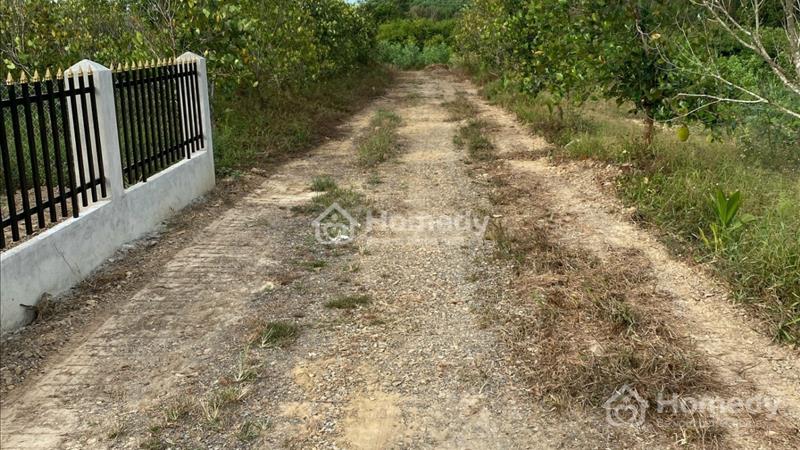 Giá rẻ nhất thị trường 1000m2, đường rộng 6m, MT dài 17m Xã Thanh Sơn, Định Quán, Đồng Nai  - Ảnh 2