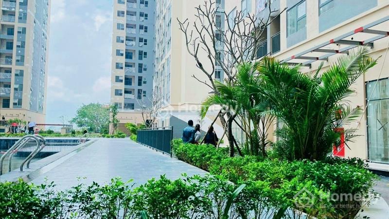 Cho thuê Shophouse khối đế CCThe Ori Garden giá 7-15 triệu/tháng - Ảnh 3