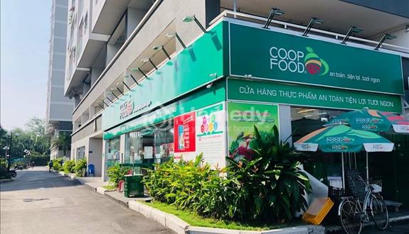Bán 9 lô thương mại SHR Phú Gia - Giá từ 2.3 tỷ (VAT) - Ký HĐMB trực tiếp CĐT - Sẵn HĐ thuê dài hạn - Ảnh 1