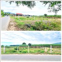 Bán đất giá đầu tư trung tâm Diên Phước, Diên Khánh, Khánh Hòa.