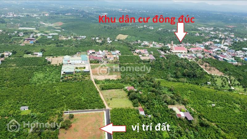 Bán đất 360 m2 có 140 m2 thổ cư Ngay nhà thờ Đức Thanh bảo Lộc - Ảnh 1