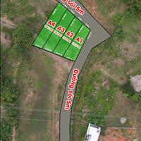 Bán đất cây lâu năm quy hoạch thổ cư nội thành Phan Thiết 
