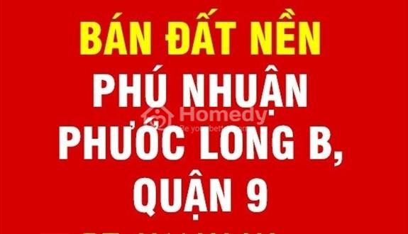 Bán đất nền biệt thự KDC Phú Nhuận, Phước Long B, TP Thủ Đức, sổ đỏ chính chủ - Ảnh 1