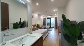 Cho thuê căn hộ ở Đào Tấn, 1 ngủ ( máy giặt sấy riêng trong phòng), ban công rộng thoáng - Ảnh 3