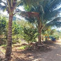 Lô đất view nghỉ dưỡng siêu đẹp diện tích 15000m2