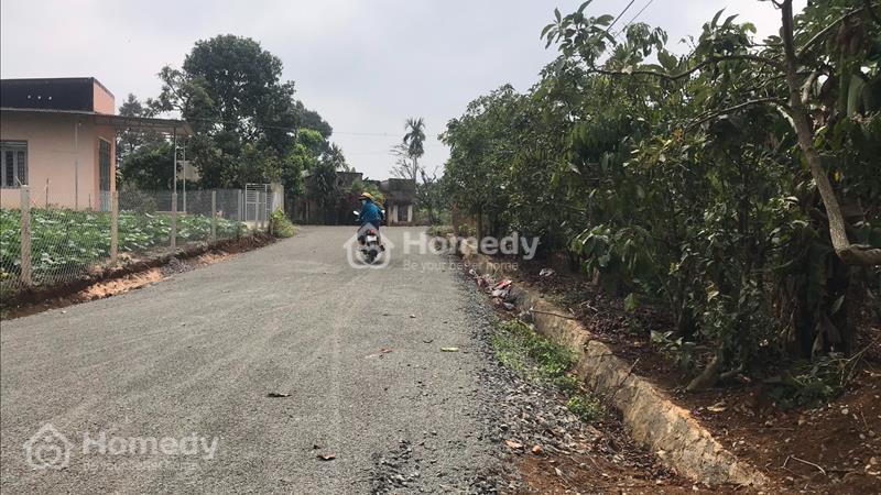 Lô đất cực đẹp Wiew đồi đất cực kỳ bằng phẳng , 458m2 , 850tr . Lộc Đức , Bảo Lâm, Bảo Lộc - Ảnh 3
