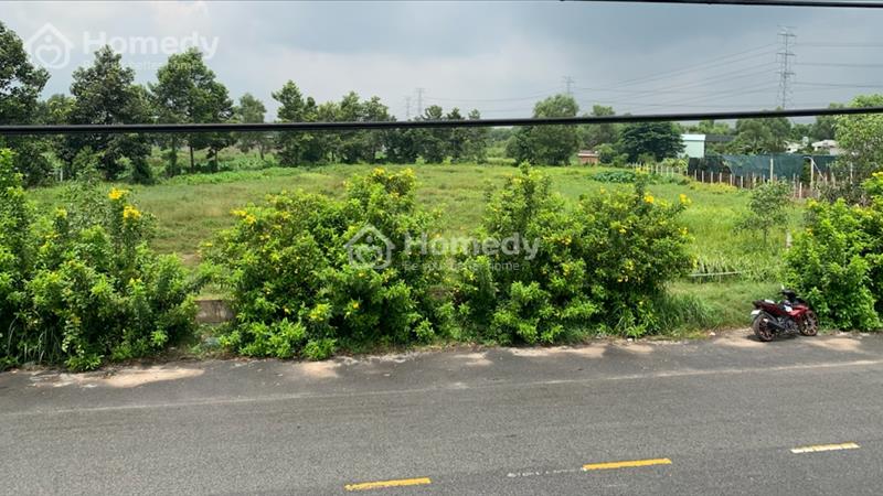 Chính chủ bán đất Củ Chi mặt tiền nhựa lớn 65m đường Sông Lu - Ảnh 1