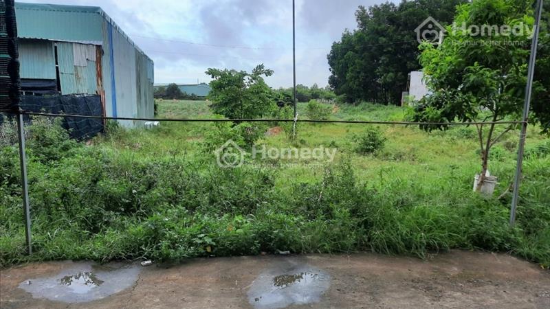 Nợ ngân hàng bán gấp giá 436 thương lượng - Ảnh 1