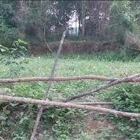 Cần bán nhanh miếng đất 5800 m2 tại Phúc Xuân - Thái Nguyên - Thái Nguyên, giá 25 tỷ