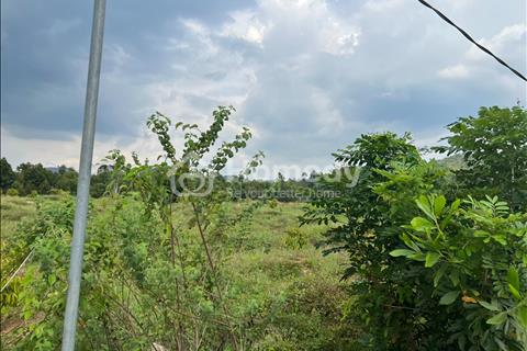 Bán 1000m2 đất Phú An - Huyện Tân Phú đường bê tông giá rẻ