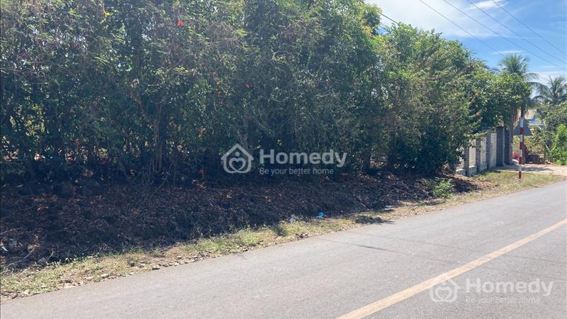 Bán 10x50 Nhựa Trà Cổ - Huyện Tân Phú chính chủ full ONT - Ảnh 7
