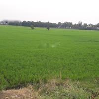Sở hữu ngay đất nền 400000 m2, mặt tiền 8m, hướng Đông tại Tân Hồng - Đồng Tháp, giá 40 tỷ