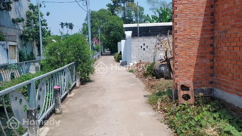 Cần bán đất gấp 397m2 Phú Cường, Thủ Dầu Một, Bình Dương. - Ảnh 1
