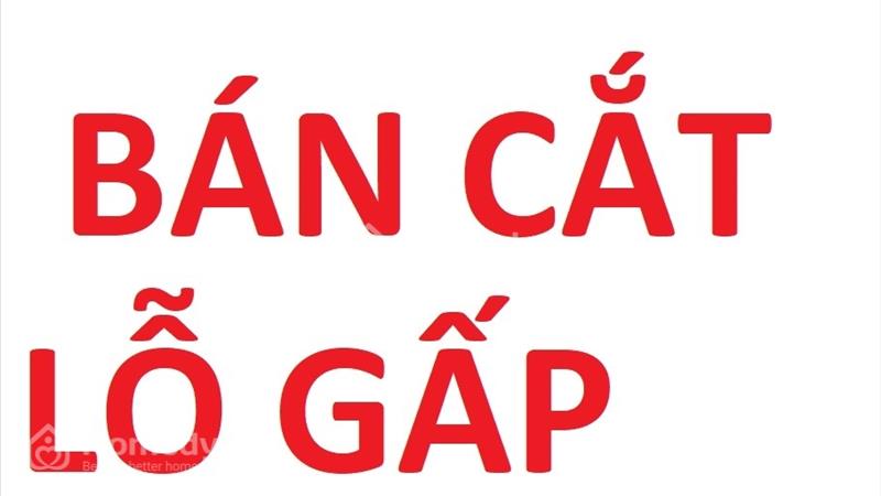  Cắt lỗ sâu lô đất TP Phúc Yên - Vĩnh Phúc giá rẻ giật mình - đường 2 ô tô tránh - Ảnh 1