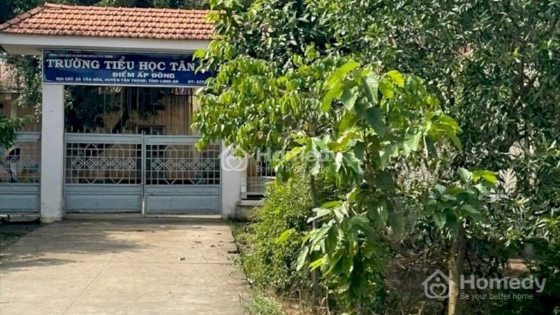 Bán Đất 1696M2 Có 139M2 Thổ,19Mx84M,Mặt Tiền ĐT829 Tân Thạnh Long An Cách Cầu 2 Hạt 600M - Ảnh 2