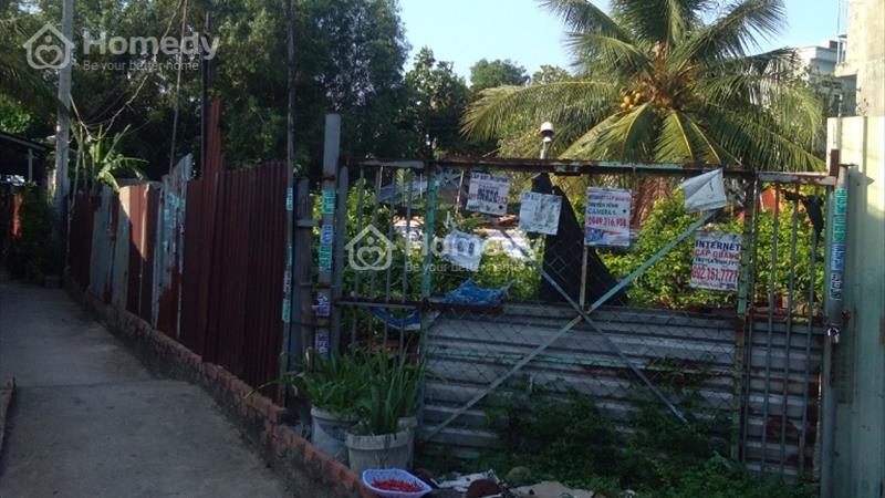 Dat mat bang cho thue gia re.dt 0907915601 - Ảnh 1