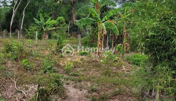 Cần bán gấp lô đất đầy tiềm năng tăng giá - Ảnh 1