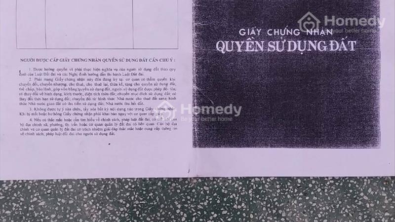 Bán Gấp Đất MT Đường Tỉnh Lộ 9, Ấp Rừng Sến, Mỹ Hạnh Bắc, Sổ Hồng Riêng, Giá Rẻ - Ảnh 2