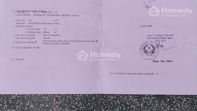 Bán Gấp Đất MT Đường Tỉnh Lộ 9, Ấp Rừng Sến, Mỹ Hạnh Bắc, Sổ Hồng Riêng, Giá Rẻ - Ảnh 4