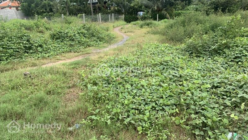 Chính chủ đất nền Thủ Thừa Long An, gần KCN Hòa Bình Long Hậu 4,hơn 6tr/m2, có sổ đỏ - Ảnh 10