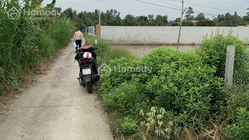 Chính chủ đất nền Thủ Thừa Long An, gần KCN Hòa Bình Long Hậu 4,hơn 6tr/m2, có sổ đỏ - Ảnh 8