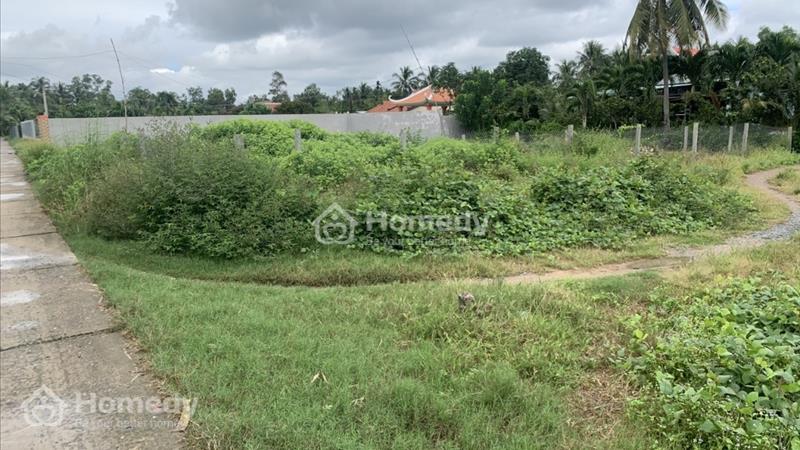Chính chủ đất nền Thủ Thừa Long An, gần KCN Hòa Bình Long Hậu 4,hơn 6tr/m2, có sổ đỏ - Ảnh 11