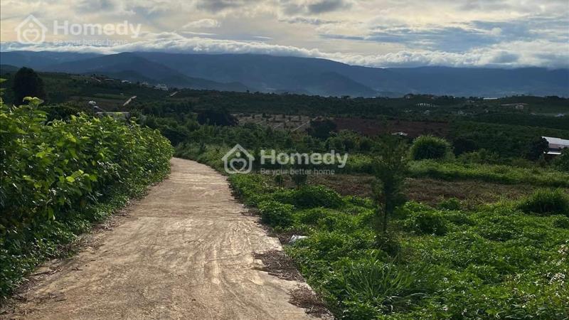 Bán đất Huyện Lâm Hà - Lâm Đồng . Cach đà lạt 25km . Cách sân bay liên khương 15km giá 1tỉ250 - Ảnh 3