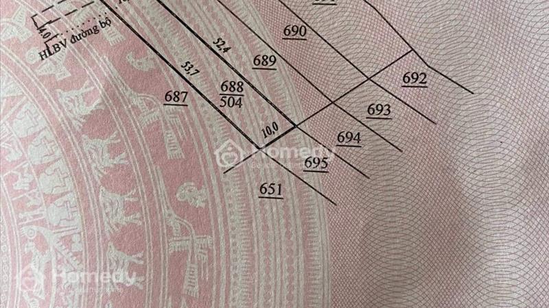 Bán đất Huyện Lâm Hà - Lâm Đồng . Cach đà lạt 25km . Cách sân bay liên khương 15km giá 1tỉ250 - Ảnh 2