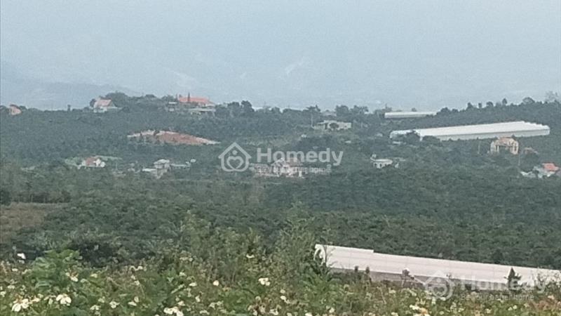 Bán đất Huyện Lâm Hà - Lâm Đồng . Cach đà lạt 25km . Cách sân bay liên khương 15km giá 1tỉ250 - Ảnh 4