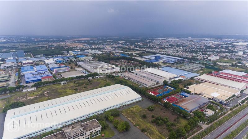 Gia Đình Kẹt Tiền Nên (BÁN GẤP) 2 Lô Đất Bình Dương Với Giá Rẻ Nhất, Đường Nhựa 25M, Full TC 100% - Ảnh 8