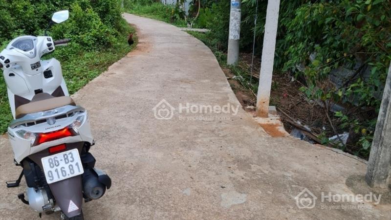 Cần bán đất thổ cư hàm liêm - Ảnh 3