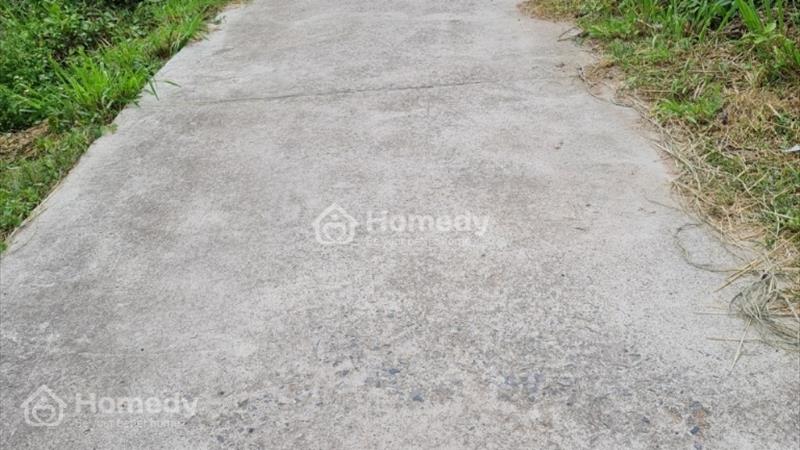 Cần bán đất thổ cư hàm liêm - Ảnh 4