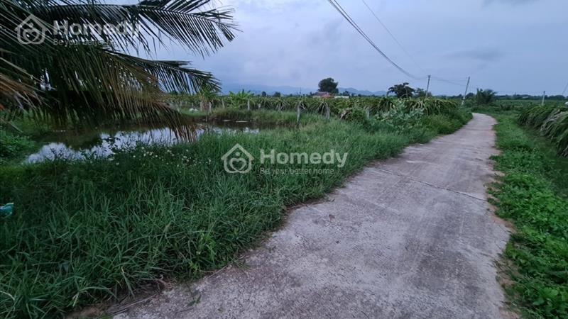 cần bán đất sào hàm liêm - Ảnh 6